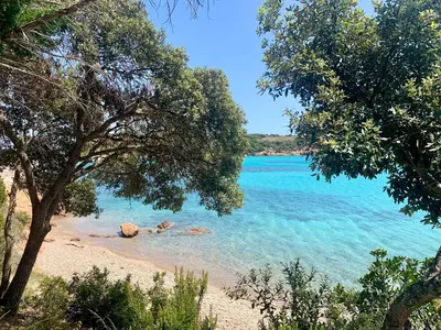 a beach with blue water and trees in the foreground at Appartement 2 chambres 2 salles de bains haute ville in Porto-Vecchio