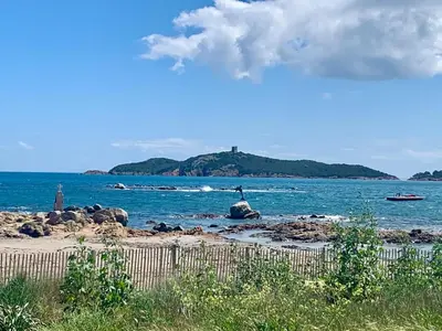 a beach with a bird sitting on rocks in the water at Appartement 2 chambres 2 salles de bains haute ville in Porto-Vecchio