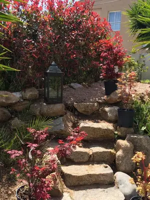 a garden with red flowers and a stone path at Studio avec jardin Route des sanguinaires Barbicaja in Ajaccio