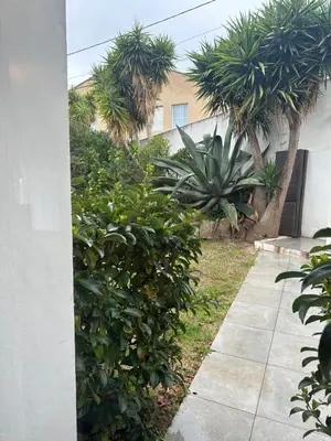 a walkway in a yard with trees and a building at Studio avec jardin Route des sanguinaires Barbicaja in Ajaccio