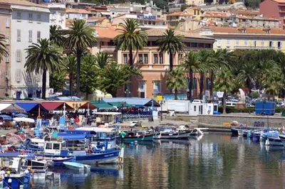 a group of boats docked in a harbor with palm trees at Appartement T3 centre ville in Ajaccio