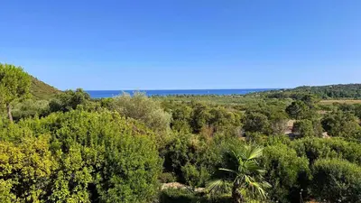 a view of a forest with the ocean in the background at Villa Dalenassara, 14 pers, piscine chauffée, 2 min plage en voiture in Olmucciu