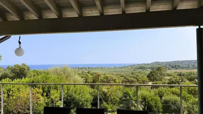 a room with a large window with a view of trees at Villa Dalenassara, 14 pers, piscine chauffée, 2 min plage en voiture in Olmucciu