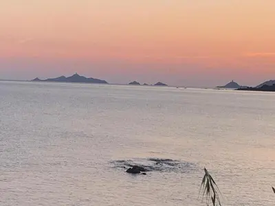 a large body of water with an island in it at Coin de paradis aux Sanguinaires in Ajaccio