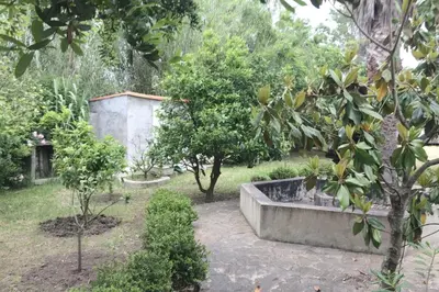 a garden with trees and a fountain in the middle at Ecological house with solar electricity in Ajaccio