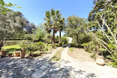 a path through a garden with palm trees at Ecological house with solar electricity in Ajaccio