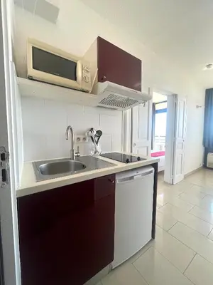 a kitchen with a sink and a microwave at L'AZUR des calanques - T2 avec Piscine Chauffée & Vue Mer Exceptionnelle- Parking & Wifi in Ajaccio