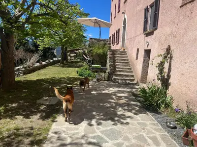 two dogs walking down a sidewalk next to a building at Casa Rosa in Gavignano