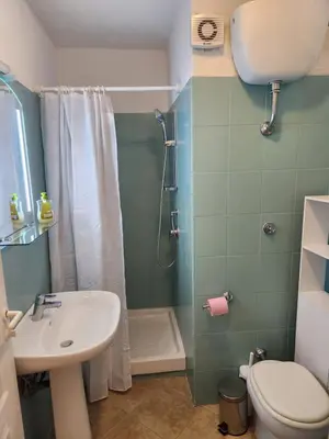 a bathroom with a sink and a toilet and a shower at linguizzetta , les marines de bravone in Linguizzetta