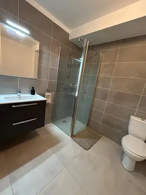 a bathroom with a shower and a toilet and a sink at Cœur Ajaccio calme plage nature in Ajaccio