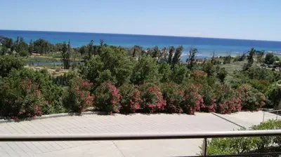 a row of bushes with pink flowers and the ocean at SOLENZARA sea view in Sari Solenzara