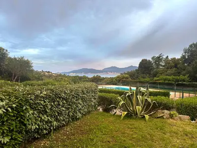 a plant sitting in the grass next to a hedge at Les Oiseaux de Porticcio in Grosseto-Prugna