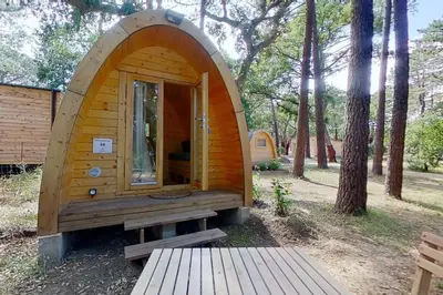 a small wooden cabin with a bench in the woods at Camping Arutoli in Porto-Vecchio