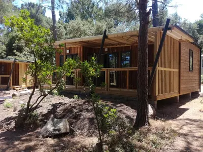 a small wooden house in the woods at Camping Arutoli in Porto-Vecchio