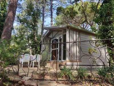a small cabin with a table and chairs in the woods at Camping Arutoli in Porto-Vecchio
