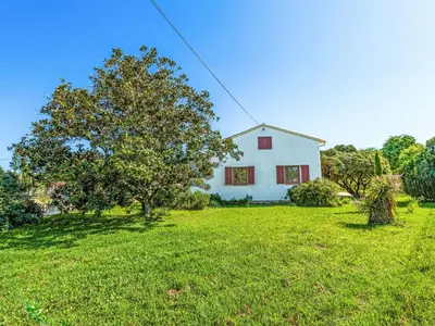 a white house with a tree in a field at Holiday Home Casa Féminiccia by Interhome in Ghisonaccia