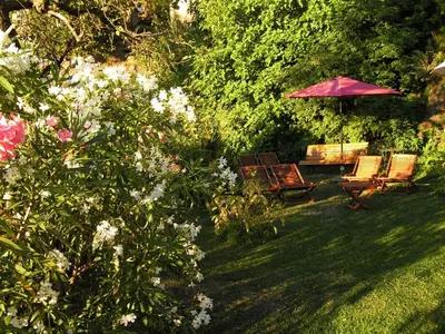 a yard with two chairs and an umbrella and flowers at Maison de caractère spacieuse et confortable, grand jardin , superbes vues in Castello-di-Rostino
