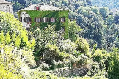 an ivy covered building on a hill with trees at Maison de caractère spacieuse et confortable, grand jardin , superbes vues in Castello-di-Rostino