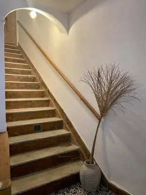a stairway with a vase with a plant in it at 120 m2, hyper centre cathédrale proximité plage in Ajaccio