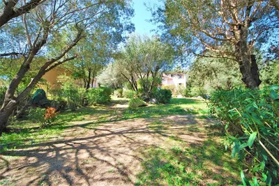 a yard with trees and a dirt road at Maison Famiglia Sérénité et nature in Porto-Vecchio