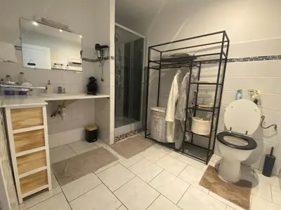 a bathroom with a toilet and a shower and a sink at Maison T3 in Piana