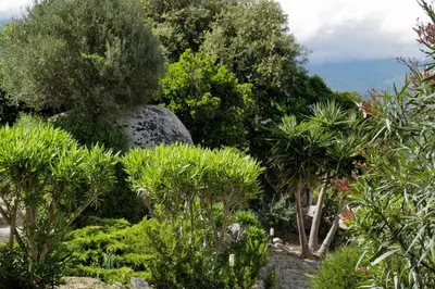 a garden with trees and bushes and a rock at Résidence Casa di Sole in Sotta