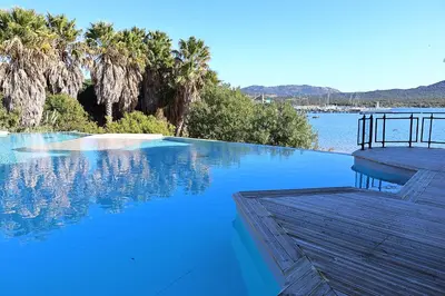 a swimming pool with blue water and palm trees at U Bellu Paradisu - T3 vue mer, piscine, plage privé in Pianottoli-Caldarello
