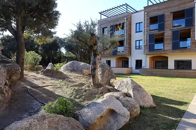 a tree in a pile of rocks in front of a building at U Bellu Paradisu - T3 vue mer, piscine, plage privé in Pianottoli-Caldarello