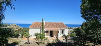 a white house with a palm tree in front of the ocean at BELLA VISTA-Wifi-VUE MER PANORAMIQUE in Sari Solenzara