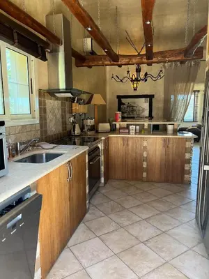 a large kitchen with wooden cabinets and a sink at Villa Ghjulia in Porto-Vecchio