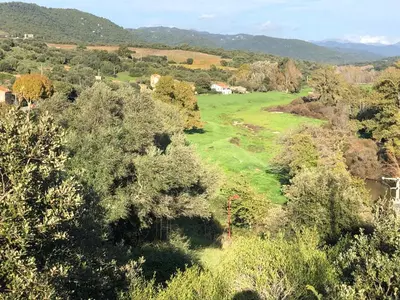 an aerial view of a green field with trees at Lyvia in Serra-di-Ferro