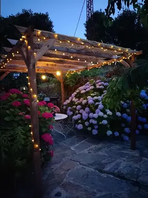 a garden with a pergola with lights and flowers at Maison traditionnelle avec vues sur St Michel in Murato