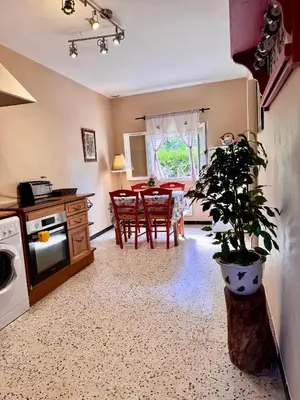 a kitchen with a table and a potted plant at Maison traditionnelle avec vues sur St Michel in Murato