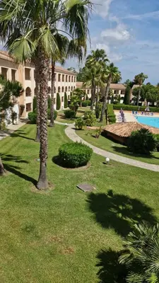 a park with palm trees and a swimming pool at Appt 4-6 couchages climatisé avec 2 piscines et 200 m des plages et criques in Linguizzetta