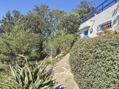 a stone path leading up to a house with trees at Casa Blue Cala Rossa with Pool in Lecci