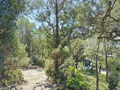 a path in the middle of a forest with trees at Casa Blue Cala Rossa with Pool in Lecci