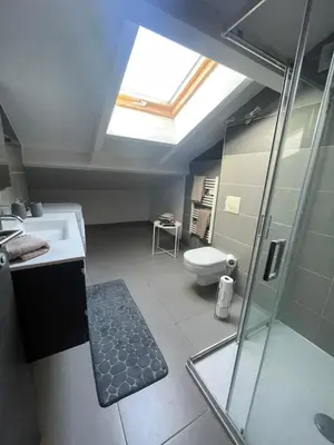 a bathroom with a shower and a toilet and a skylight at Apartment Propriano, Corsica in Propriano