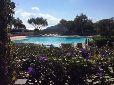 a garden with purple flowers in front of a swimming pool at Maison proche Porto Vecchio in Porto-Vecchio
