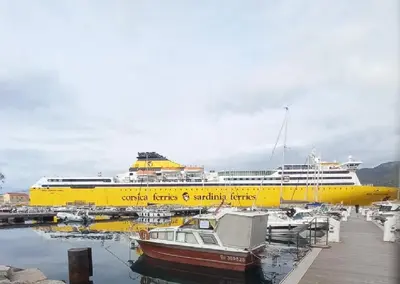 a large cruise ship docked at a dock with boats at A casa in Propriano