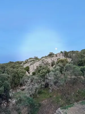 a rocky hill with trees and a blue sky at Lodge sous les oliviers in Propriano