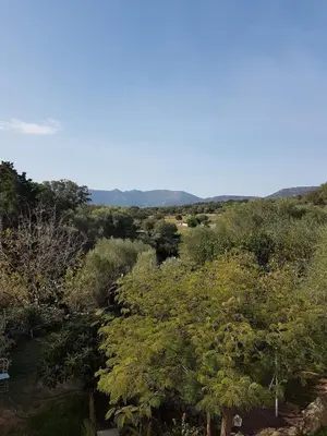 a view of a field with trees and mountains at Appartement à Speloncato dans la plaine du Reginu 1, pour 3 personnes in Speloncato