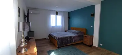 a bedroom with a bed and a blue wall at Villa Viktoriia in San-Nicolao