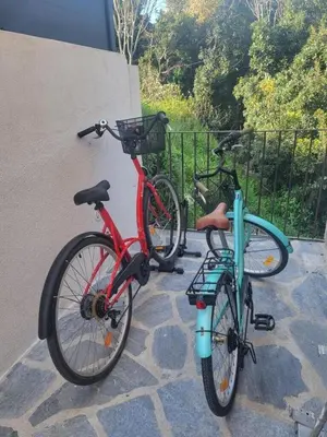 two bikes are parked next to each other at Villa Viktoriia in San-Nicolao