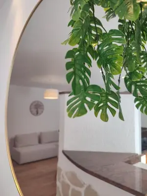a mirror in a living room with a plant at Jolie location chez Philippe & Karine in Linguizzetta