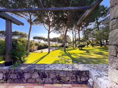 a stone wall in front of a field with trees at Maison Porticcio centre in Grosseto-Prugna