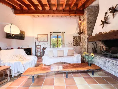 a living room with a couch and a fireplace at Maison Porticcio centre in Grosseto-Prugna