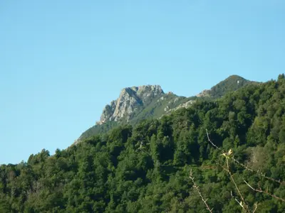 a mountain covered in trees with a blue sky at Casa Valentini in Quercitello