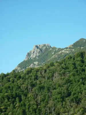 a mountain covered in green trees with a blue sky at Casa Valentini in Quercitello