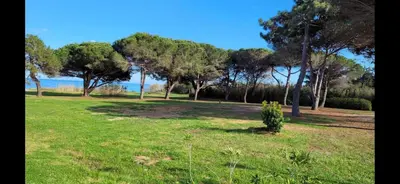 a park with trees and a field of grass at Casa Giul' Poggio Mezzana in Poggio-Mezzana