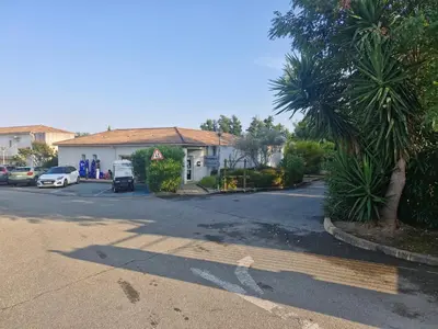 a street with a palm tree and a house at Casa Giul' Poggio Mezzana in Poggio-Mezzana